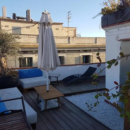 Daire Rooftop In Born